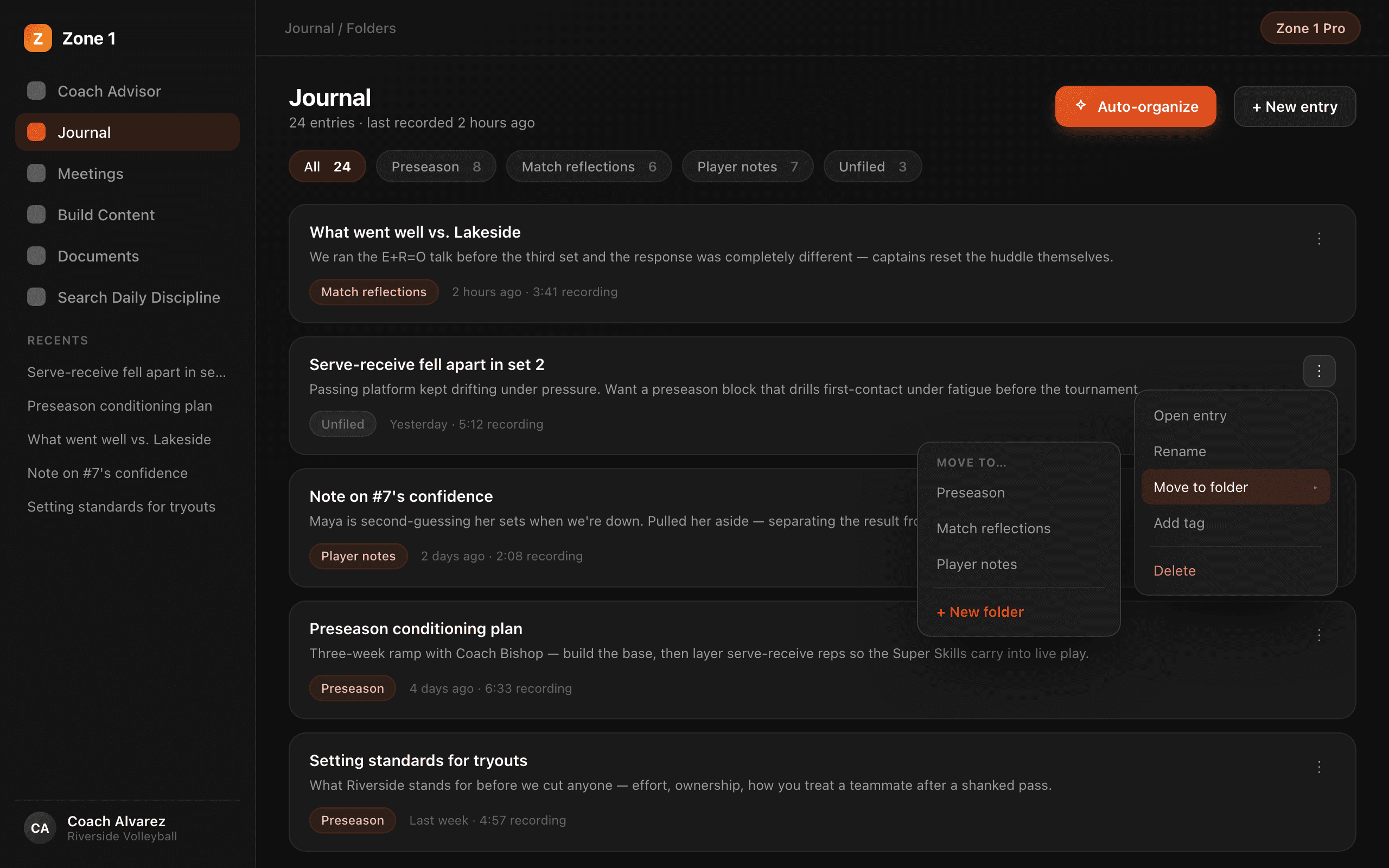 Folders and Auto-organize across journal entries in the web app